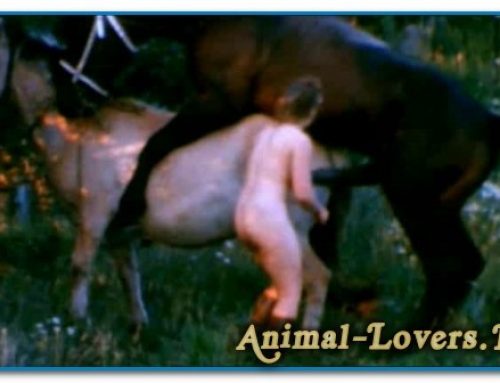 Bodil Joensen – Animal Sex Pornstars – The Search For Animal Farm