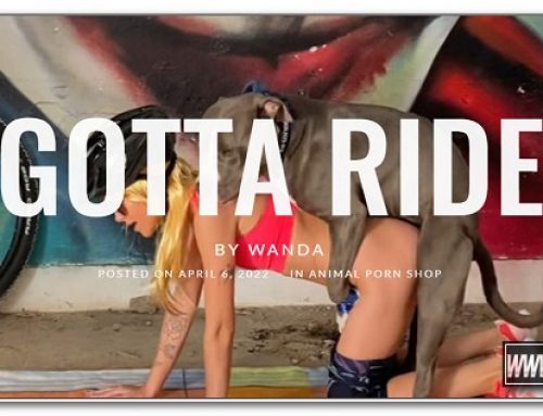 WANDA – Gotta Ride