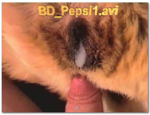 051 – BEAST ANIMAL CREAMPIE