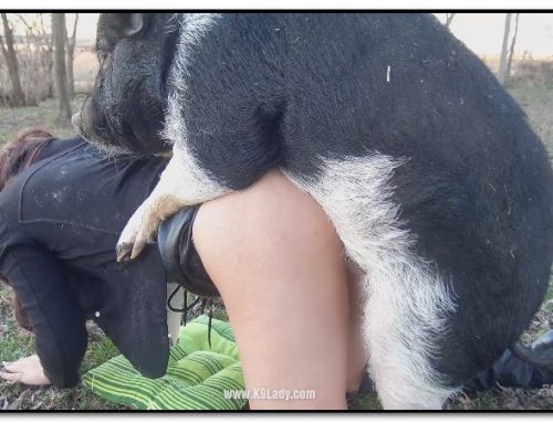 K9lady.com – Selena Basic Desire